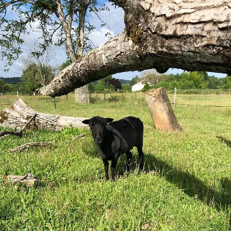 Le Bon Chemin Stockholm