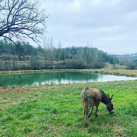 Dom wakacyjny Le Bon Chemin Stockholm Sainte-Nathalène