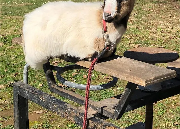 Le Bon Chemin Stockholm Casa de Férias Sainte-Nathalène