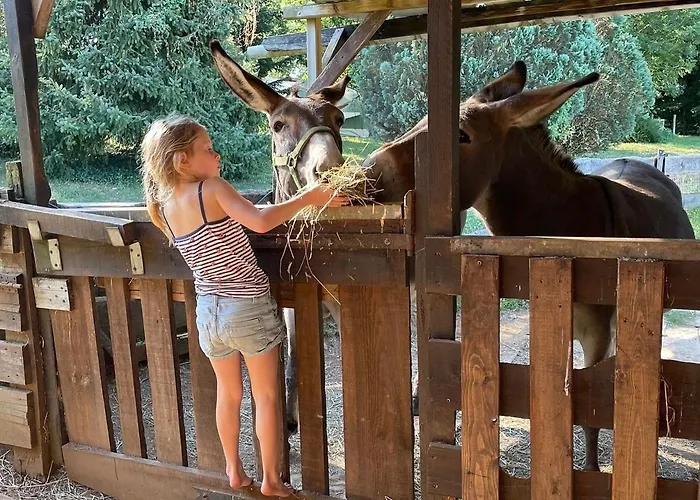 Le Bon Chemin Stockholm Sainte-Nathalène