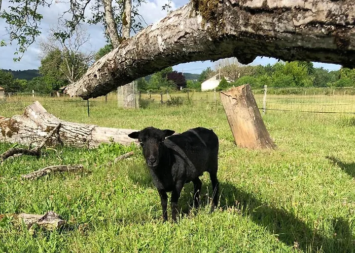 Le Bon Chemin Stockholm
